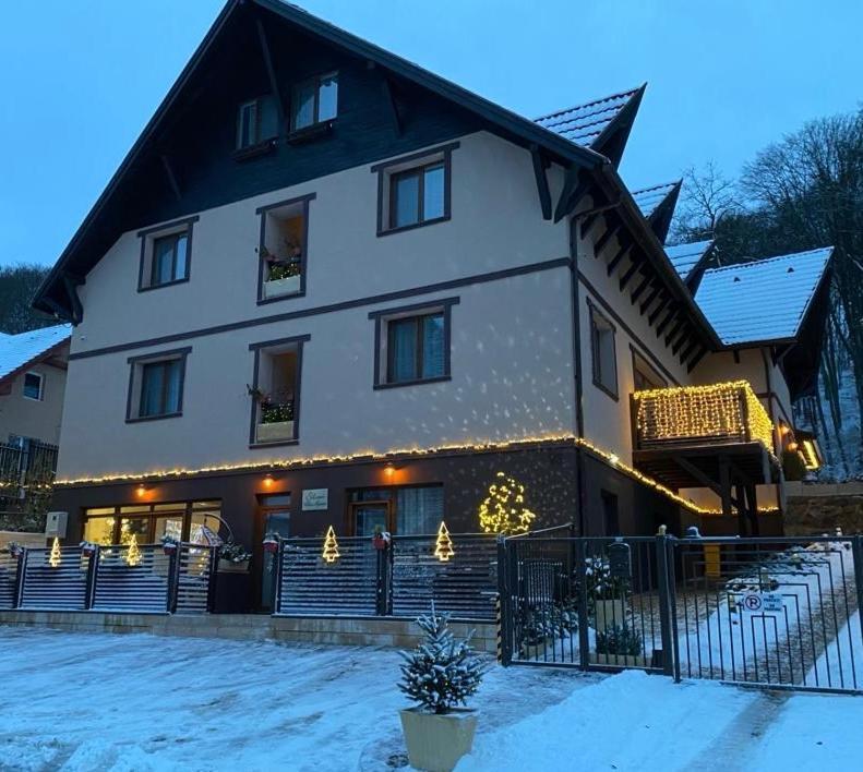 Silvan Villa - Apart Sighisoara Exterior photo